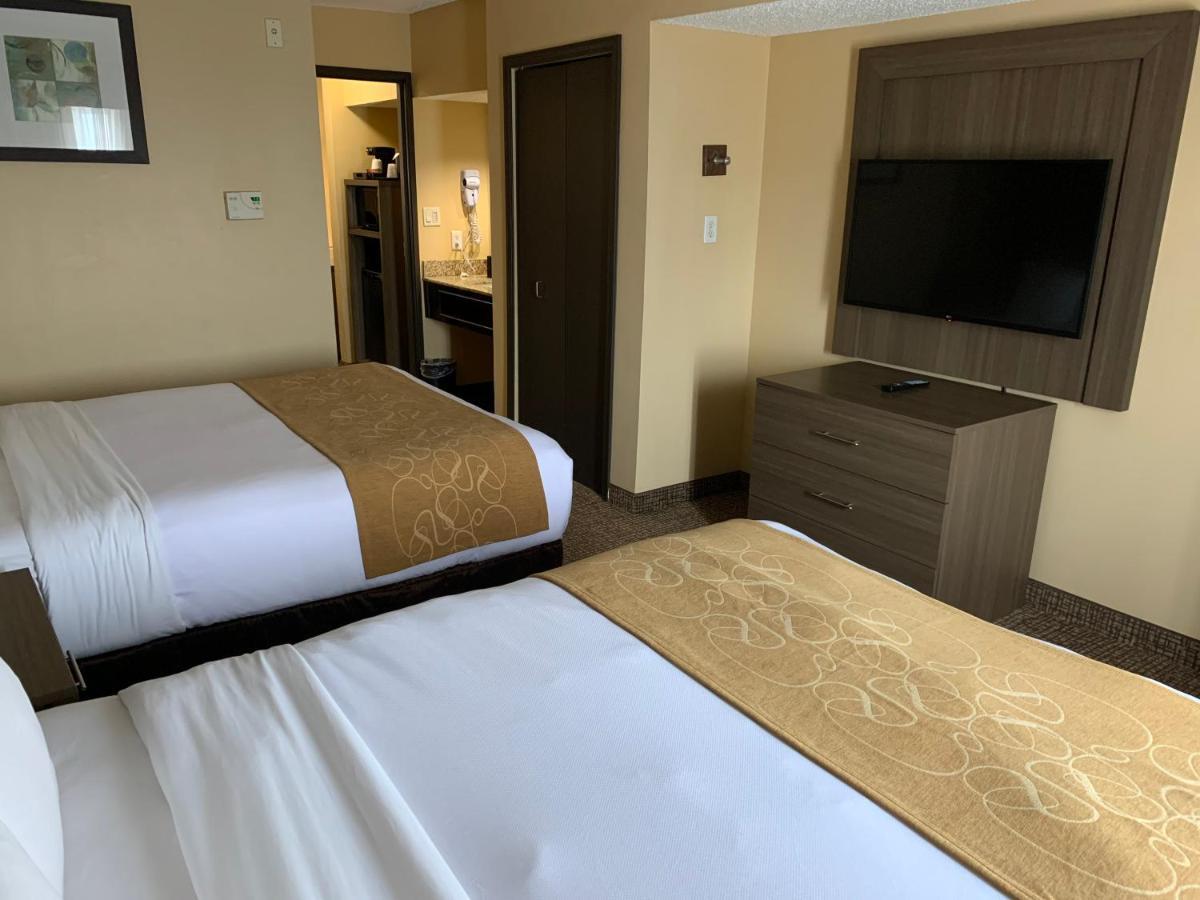 Comfort Suites Dfw Airport Irving Eksteriør billede